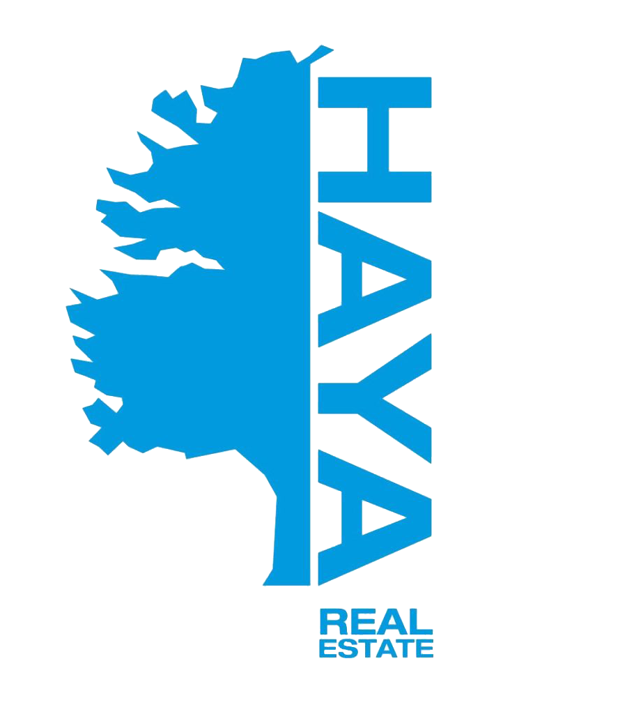 haya-real-estate-910x1024